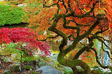 精彩5月好物不断！全新训练家收藏礼盒以及更多宝可梦卡牌新品即将发售！