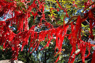 《暗喻幻想》和《寂静岭2RE》日媒评分出炉 均获好评
